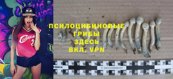 mdma Гусев
