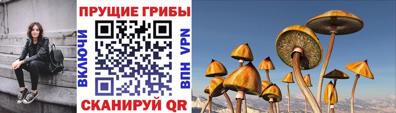 Купить закладки  Заполярный  Галлюциногенные грибы Magic Shrooms 